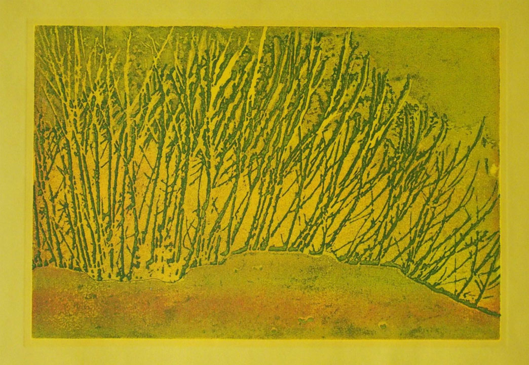 Vegetation_720